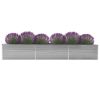 Garden Raised Bed Galvanized Steel 189"x31.5"x30.3" Gray